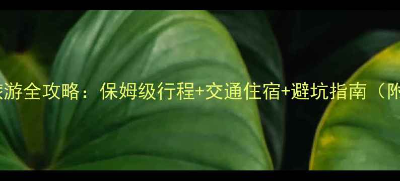 图片 苏州到三亚旅游全攻略：保姆级行程+交通住宿+避坑指南（附详细报价）1