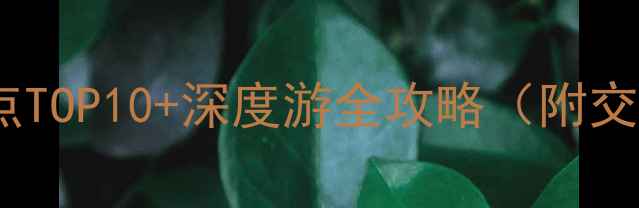 苏州市必去景点TOP10深度游全攻略附交通美食指南