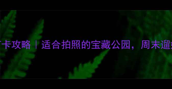 图片 苏州桐泾公园打卡攻略｜适合拍照的宝藏公园，周末遛娃游船全攻略！