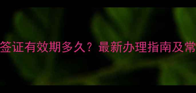图片 英国旅游签证有效期多久？最新办理指南及常见问题全