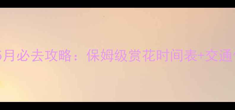 图片 荷兰花海3-5月必去攻略：保姆级赏花时间表+交通住宿全指南2