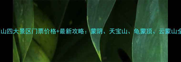 图片 蒙山四大景区门票价格+最新攻略：蒙阴、天宝山、龟蒙顶、云蒙山全2