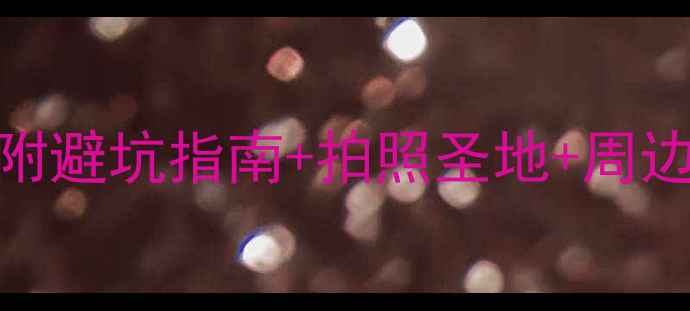 图片 西塘私藏客栈全攻略｜附避坑指南+拍照圣地+周边玩法！住过7家才敢说1