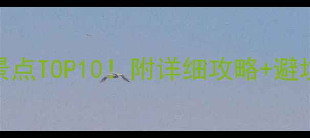 贵州旅游必去景点TOP10附详细攻略避坑指南最新版