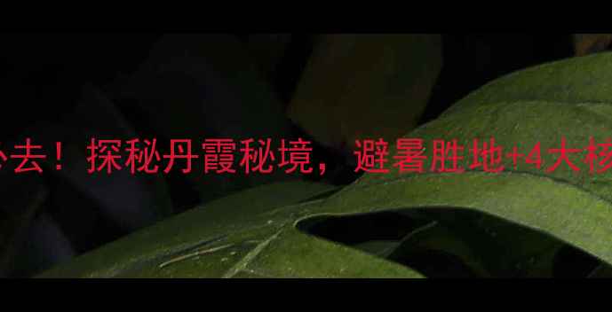 图片 贵州赤水四洞沟景区必去！探秘丹霞秘境，避暑胜地+4大核心玩法，附详细攻略1