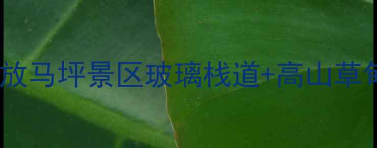 图片 贵州避暑新地标！兴仁县放马坪景区玻璃栈道+高山草甸全攻略（附交通住宿）2