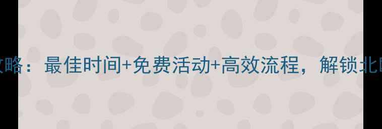 图片 赫尔辛基转机攻略：最佳时间+免费活动+高效流程，解锁北欧枢纽隐藏玩法
