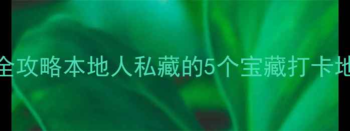 辛集夜生活全攻略本地人私藏的5个宝藏打卡地美食地图