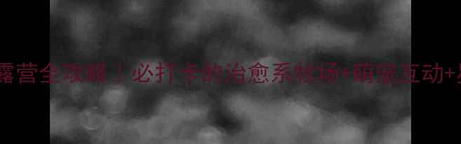 邵阳牧场亲子露营全攻略必打卡的治愈系牧场萌宠互动星空露营攻略