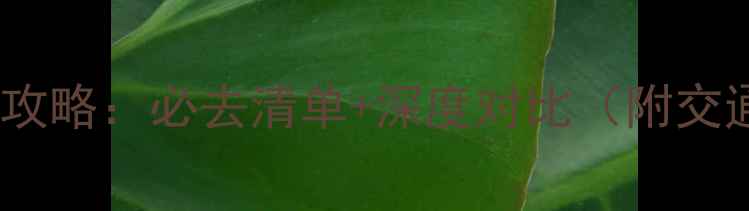 图片 重庆vs四川旅游攻略：必去清单+深度对比（附交通美食全指南）1