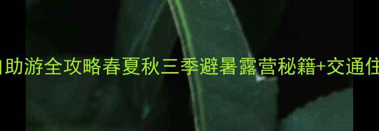 图片 重庆仙女山自助游全攻略春夏秋三季避暑露营秘籍+交通住宿避坑指南1