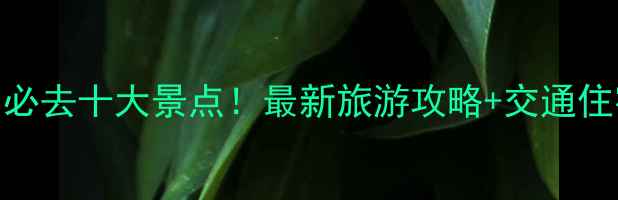 图片 重庆合川必去十大景点！最新旅游攻略+交通住宿全指南