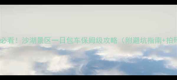 银川周边游必看沙湖景区一日包车保姆级攻略附避坑指南拍照打卡点