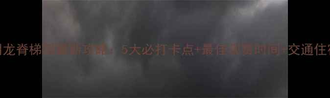 阳朔龙脊梯田最新攻略5大必打卡点最佳观赏时间交通住宿全