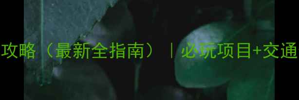 图片 集星海岸大冒险攻略（最新全指南）｜必玩项目+交通住宿+避坑贴士2