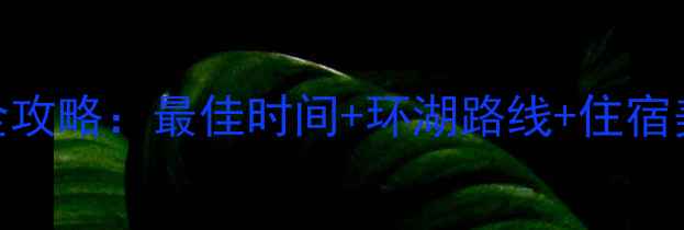 青海湖自助游全攻略最佳时间环湖路线住宿美食避坑指南