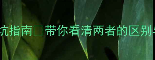 图片 风景名胜区vs景区：最新旅游避坑指南✨带你看清两者的区别与选择技巧｜附免费申根签攻略2