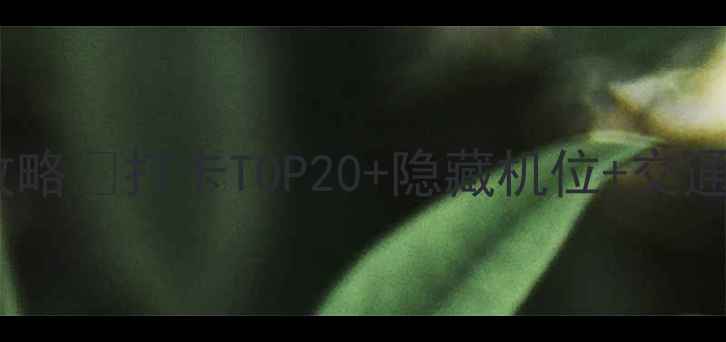 香港必去景点保姆级攻略打卡TOP20隐藏机位交通指南附最新信息