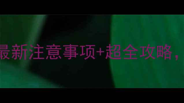 马来西亚旅游必看最新注意事项超全攻略附签证交通美食清单