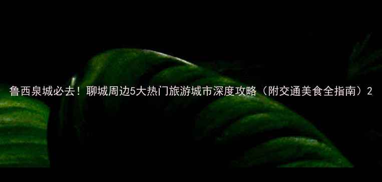 鲁西泉城必去聊城周边5大热门旅游城市深度攻略附交通美食全指南