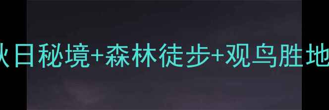 图片 鸡西桦木林场旅游全攻略：秋日秘境+森林徒步+观鸟胜地，解锁北国绿宝石的N种玩法