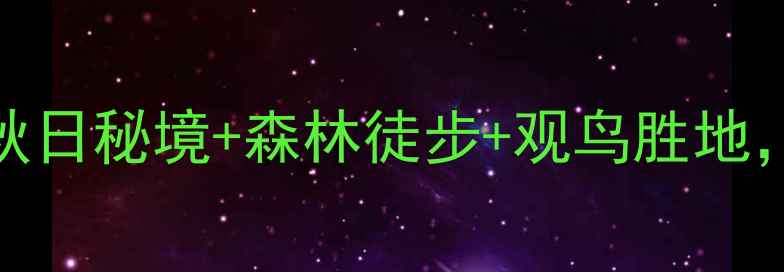 图片 鸡西桦木林场旅游全攻略：秋日秘境+森林徒步+观鸟胜地，解锁北国绿宝石的N种玩法1