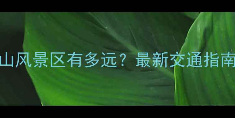 黄山北站到黄山风景区有多远最新交通指南与行程规划全