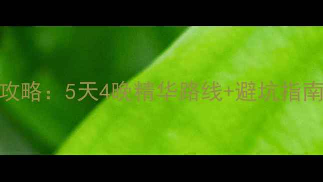 图片 黄山必去景点全攻略：5天4晚精华路线+避坑指南（附交通住宿）