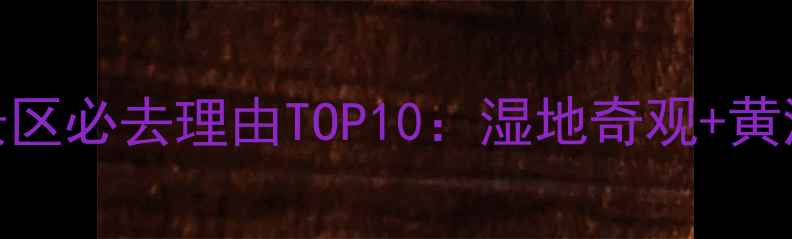 黄河口生态旅游风景区必去理由TOP10湿地奇观黄河文化亲子游攻略