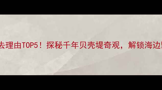 图片 黄骅古贝壳堤必去理由TOP5！探秘千年贝壳堤奇观，解锁海边野趣与历史宝藏2