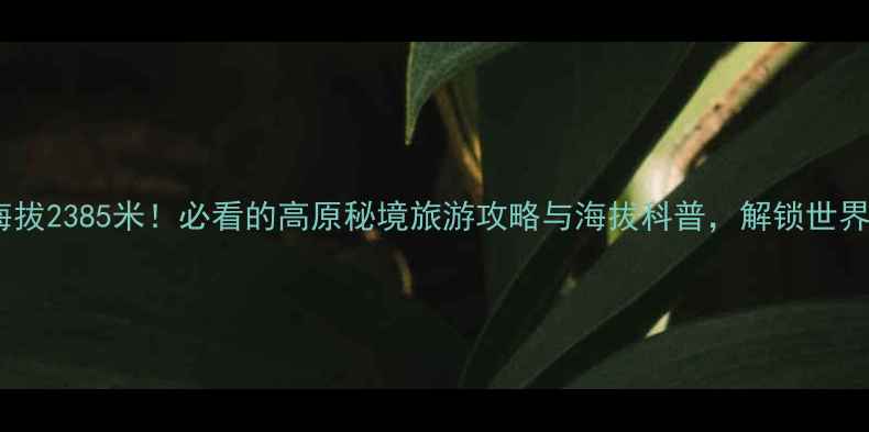 图片 黄龙风景区海拔2385米！必看的高原秘境旅游攻略与海拔科普，解锁世界级地质奇观1