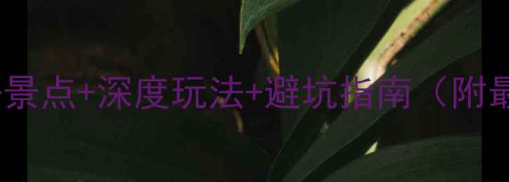 图片 黔西旅游攻略：必去景点+深度玩法+避坑指南（附最新交通住宿信息）1