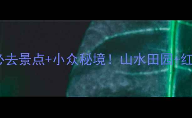 图片 龙岩旅游攻略｜必去景点+小众秘境！山水田园+红色文化全攻略✨1