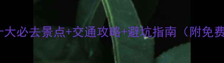 图片 🌄北川十大必去景点+交通攻略+避坑指南（附免费地图）1