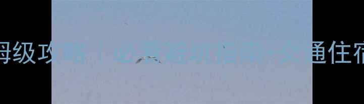 图片 🌄峨眉山金顶一日游保姆级攻略｜必看避坑指南+交通住宿全（附实时门票价格）