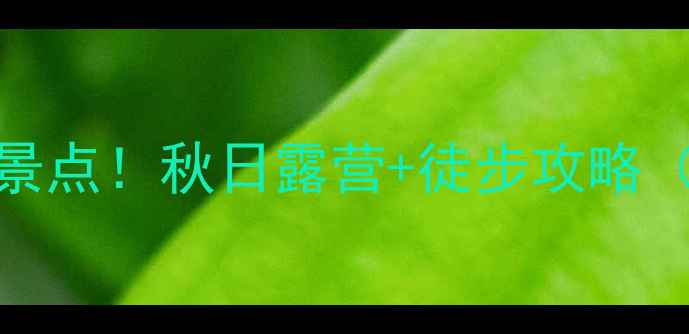 图片 🌄西天目山必去5大景点！秋日露营+徒步攻略（附交通门票穿搭）2