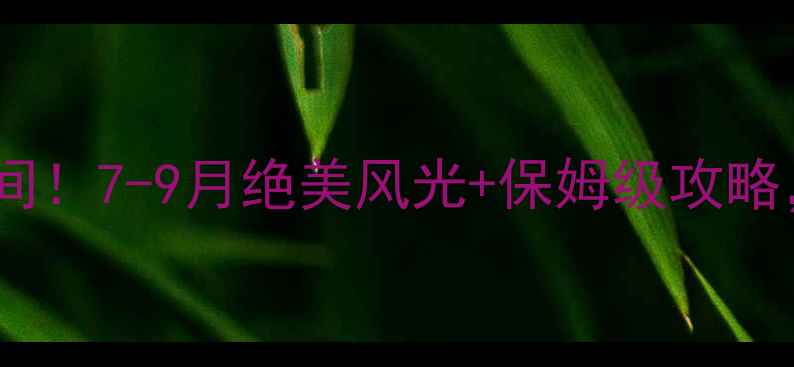 图片 🌄那曲旅游最佳时间！7-9月绝美风光+保姆级攻略，错过再等一年🌄2