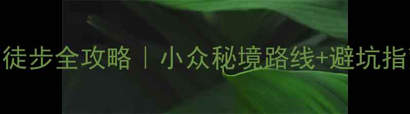 图片 🌄都江堰赵公山徒步全攻略｜小众秘境路线+避坑指南+最佳拍摄点2