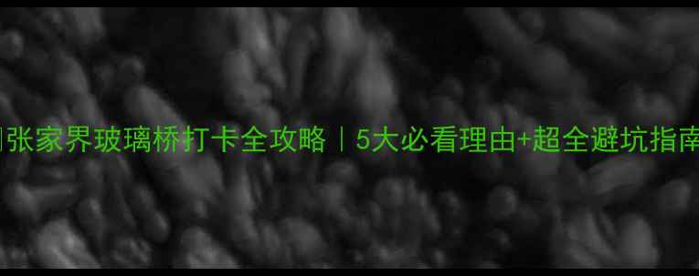 图片 🌉张家界玻璃桥打卡全攻略｜5大必看理由+超全避坑指南2