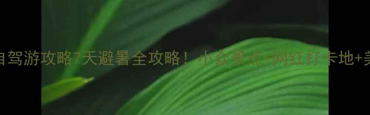 图片 🌊东山岛自驾游攻略7天避暑全攻略！小众景点+网红打卡地+美食地图🚗