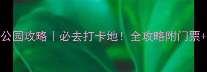 图片 🌊兴化水上森林公园攻略｜必去打卡地！全攻略附门票+交通+隐藏玩法1