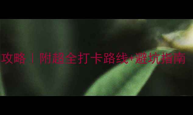 图片 🌊北海市区5天4晚深度游攻略｜附超全打卡路线+避坑指南（含交通美食拍照机位）1