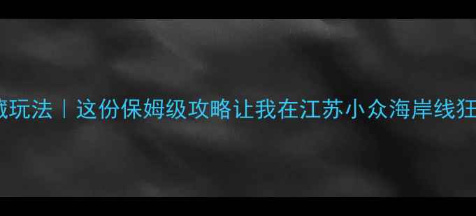 图片 🌊海安海边私藏玩法｜这份保姆级攻略让我在江苏小众海岸线狂拍300张大片！