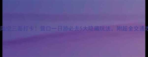 图片 🌊海陆空三面打卡！营口一日游必去5大隐藏玩法，附超全交通攻略2