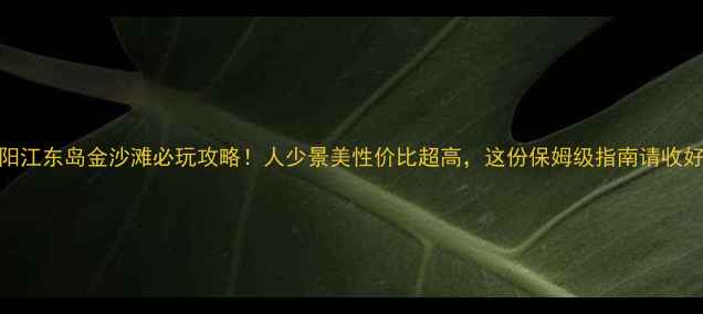 阳江东岛金沙滩必玩攻略人少景美性价比超高这份保姆级指南请收好