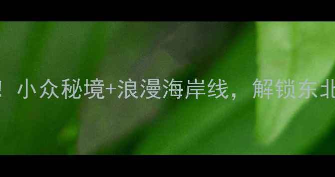 图片 🌊鲅鱼圈望海寨必打卡！小众秘境+浪漫海岸线，解锁东北最治愈的夏日旅行地！