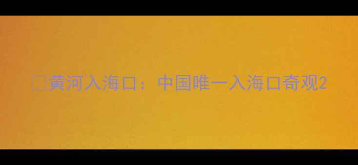 黄河入海口中国唯一入海口奇观
