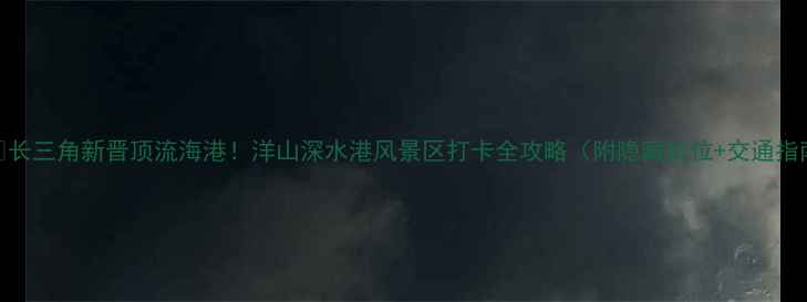 图片 🌊🚢长三角新晋顶流海港！洋山深水港风景区打卡全攻略（附隐藏机位+交通指南）