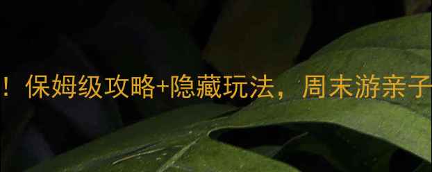 图片 🌟中山必打卡景点TOP10！保姆级攻略+隐藏玩法，周末游亲子游情侣游都能抄作业！2