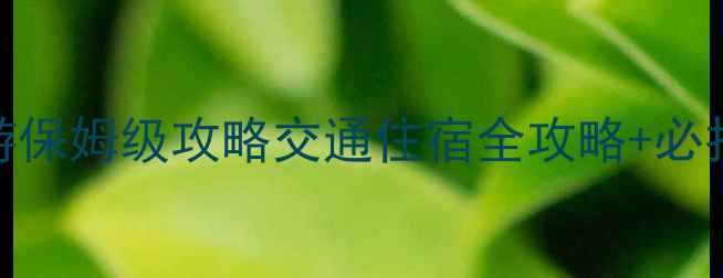 图片 🌟乐山峨眉山一日游保姆级攻略交通住宿全攻略+必打卡景点+避坑指南2